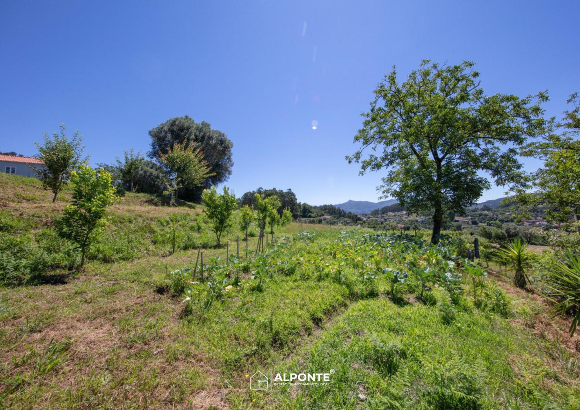 Quinta Da Costeira - Casa Azul Do Limoal By Alponte Βίλα Arcos de Valdevez Εξωτερικό φωτογραφία