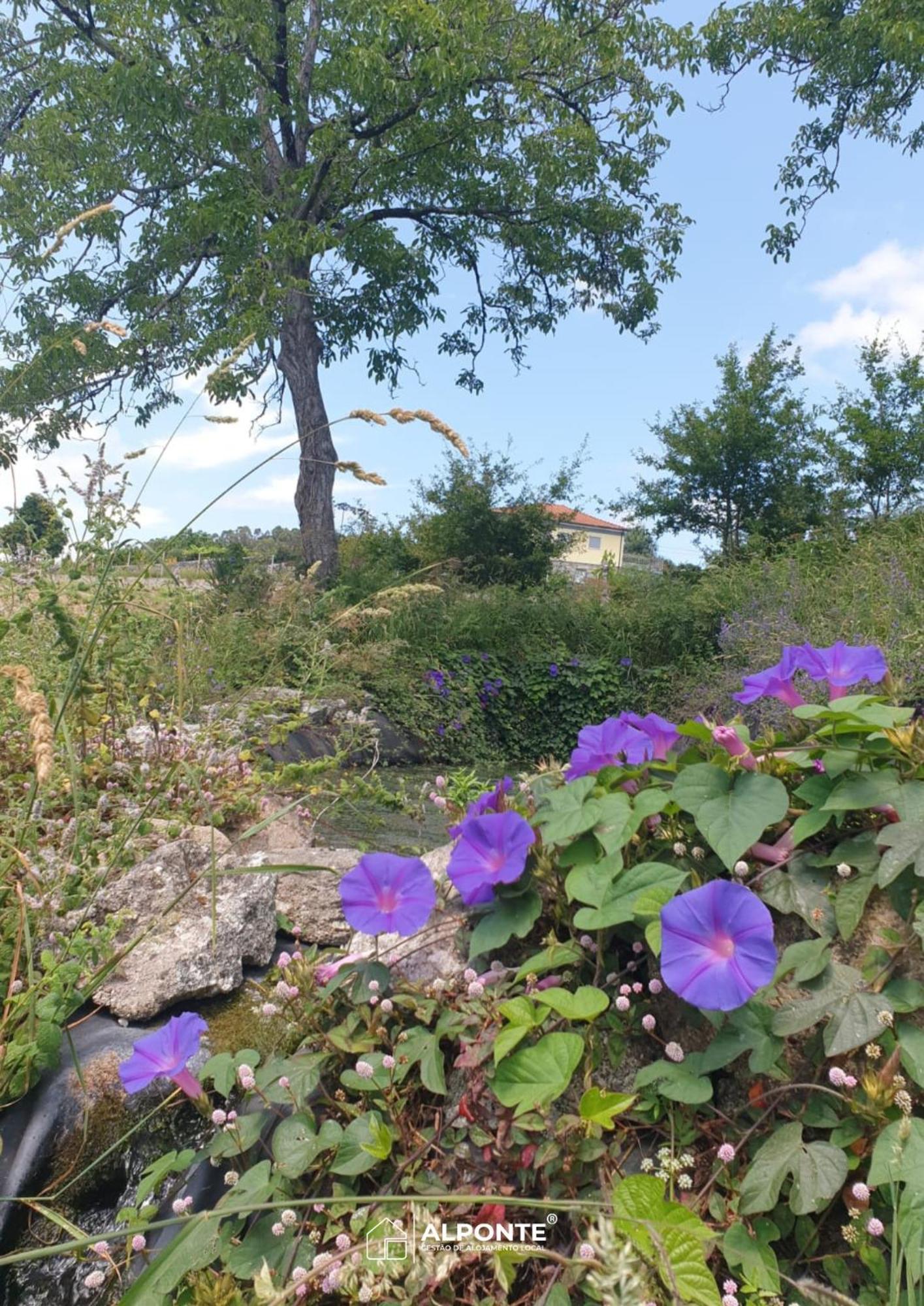Quinta Da Costeira - Casa Azul Do Limoal By Alponte Βίλα Arcos de Valdevez Εξωτερικό φωτογραφία