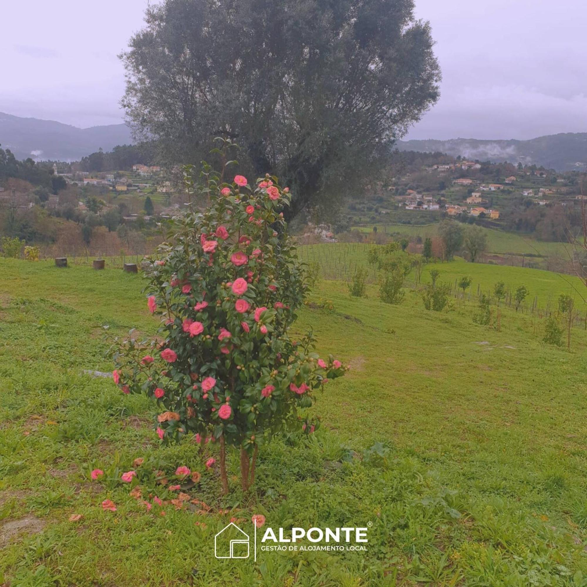 Quinta Da Costeira - Casa Azul Do Limoal By Alponte Βίλα Arcos de Valdevez Εξωτερικό φωτογραφία